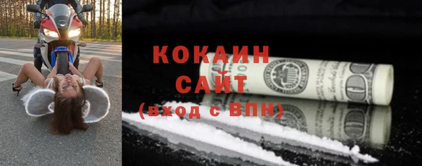 соль ск Алексин