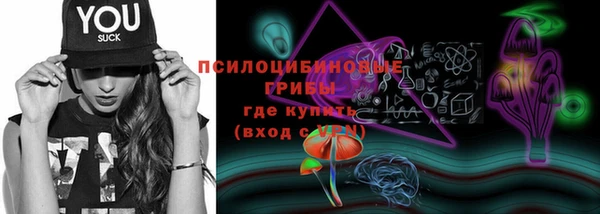 спайс Алзамай