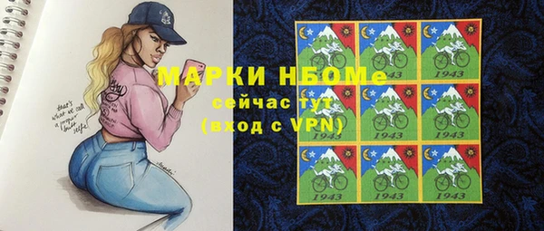 соль ск Алексин