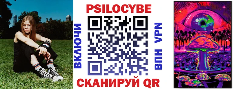 как найти   Сухиничи  Галлюциногенные грибы GOLDEN TEACHER 